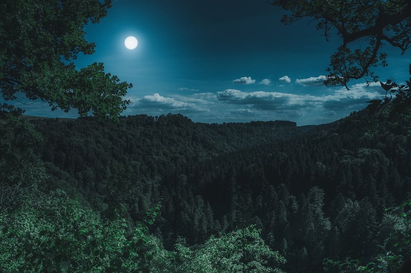 Moon Embroidery